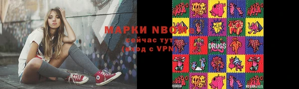 соль ск Арсеньев