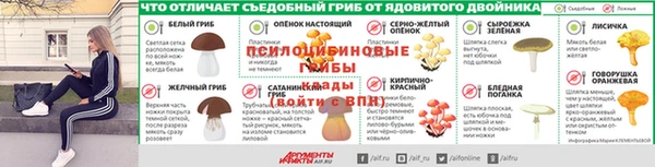 МДПВ Аркадак